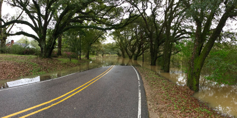 Louisiana Floodplain Management Content Image